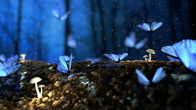 Enchanted Frosting